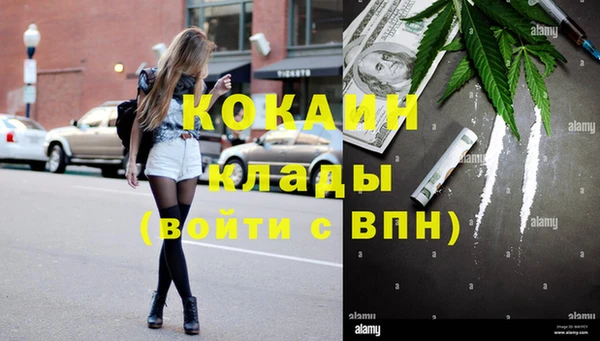 крисы Козловка
