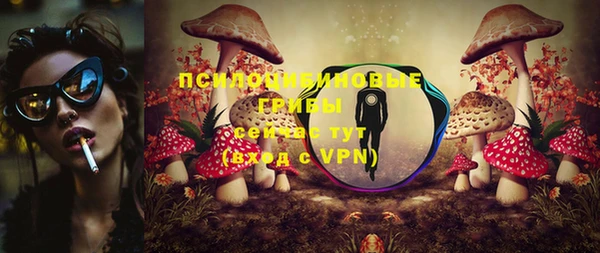 крисы Козловка