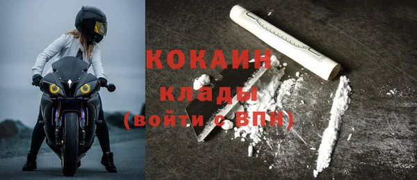 крисы Козловка