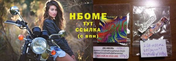 крисы Козловка