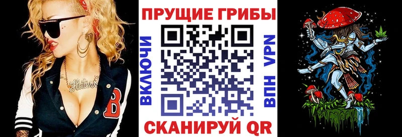 гидра зеркало  где можно купить наркотик  Талдом  Псилоцибиновые грибы мицелий 